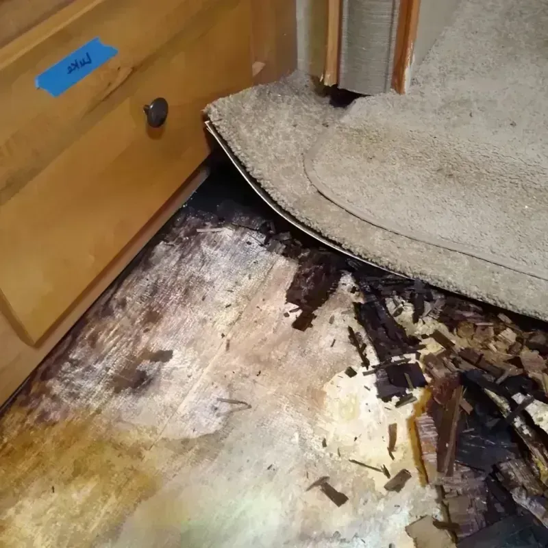 Best Wood Floor Water Damage Service in Houghton, NY